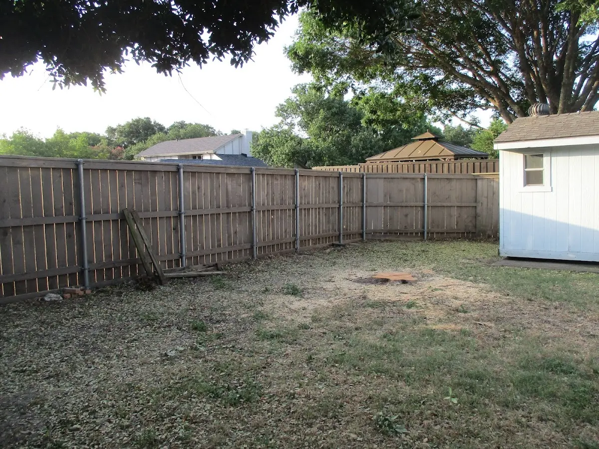 Cleared yard after professional tree removal in Alden